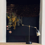 Horn & Brass Table Lamp