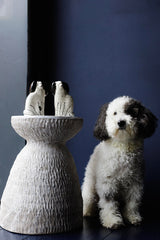 'Monty' Staffordshire Dogs