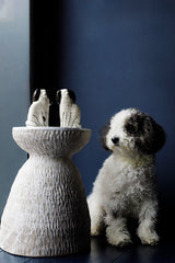 'Monty' Staffordshire Dogs