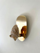 Norfolk Scallop Shell and Brass Wall Sconce