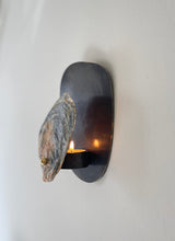 Norfolk Scallop Shell and Brass Wall Sconce - Patinated or Polished