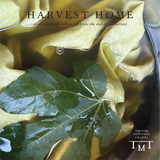 Harvest Moon Hand Stitched Quilt