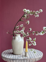 Candlehat Vase & Candleholder