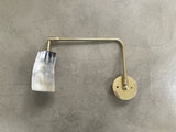 Horn & Brass Swing Arm Wall Light