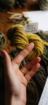 Tansy Barley Twist Wool Rug