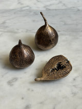 Bronze Brunswick Figs