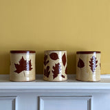 'Staverton Thicks' Pots