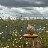 ‘Coronet of Roses‘ Harvest Jug