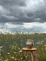 ‘Midsummer Honey’ Harvest Jug