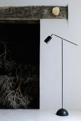 Horn & Brass Floor Lamp