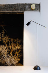 Horn & Brass Floor Lamp