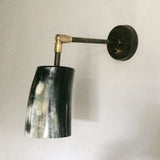 Horn & Brass Wall Light