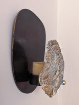 Norfolk Scallop Shell and Brass Wall Sconce