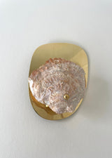 Norfolk Scallop Shell and Brass Wall Sconce