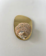 Norfolk Scallop Shell and Brass Wall Sconce - Patinated or Polished