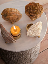 Norfolk Shell and Brass Tealight