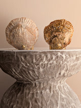 Norfolk Shell and Brass Tealight