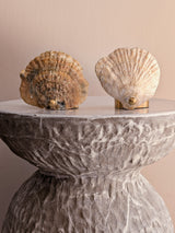 Norfolk Shell and Brass Tealight