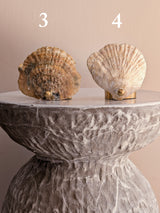 Norfolk Shell and Brass Tealight