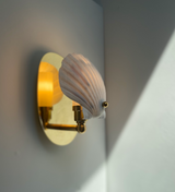 Scallop Shell Electric Sconce