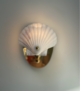 Scallop Shell Electric Sconce