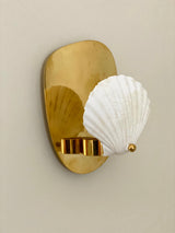 Scallop Shell and Brass Wall Candle Sconce