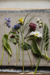 Early Spring Botanical Bas-Relief