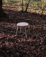Wooden stool in a forest setting with fallen leaves on the ground