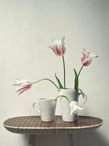 Porcelain Jug Family