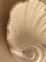 Scallop Shell Plaster Wall Lights