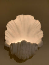 Scallop Shell Plaster Wall Lights