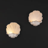 Scallop Shell Plaster Wall Lights