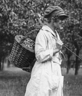 Orchard Willow Basket