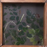 Harvest Home Autumnal Botanical Bas-Relief