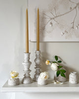 The Coralline Crag Collection