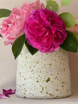 Pink David Austin roses in a textured porcelain white vase on a neutral background