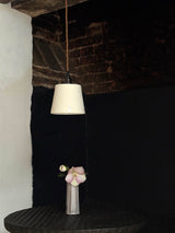 Porcelain Moth Pendant Lamp