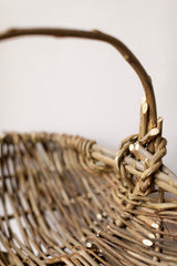 East Anglian Oyster Tendle