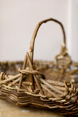 East Anglian Oyster Tendle