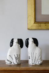 'Monty' Staffordshire Dogs