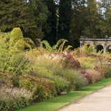 FIVE SEASONS: The Gardens of Piet Oudolf