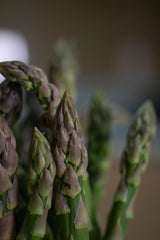 ARCHIVED EVENT - A Seasonal Feast with Building Feasts! SOLD OUT