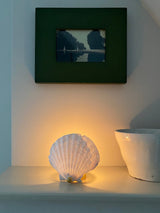 Scallop Shell Tealight