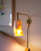 Horn & Brass Swing Arm Wall Light