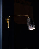 Horn & Brass Swing Arm Wall Light