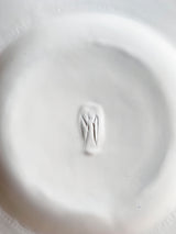 Past and Present Plates