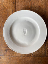 Past and Present Plates