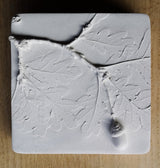 Oak Leaf and Acorn Botanical Casts