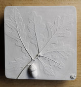 Oak Leaf and Acorn Botanical Casts