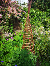 Sculptural Willow Garden Support